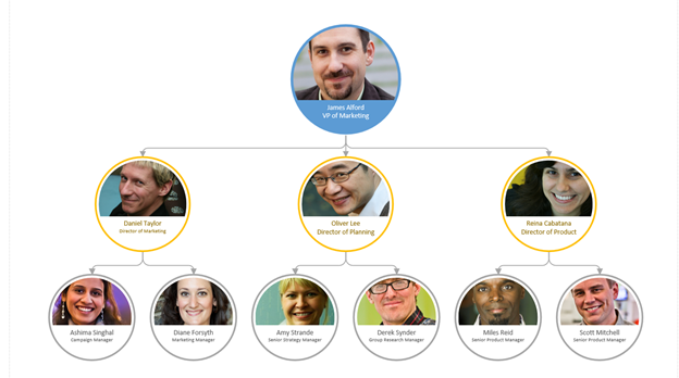 Organization chart of employees